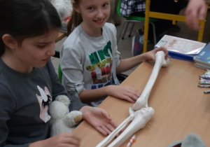 Zajęcia z fizjoterapeutą - kl.2a - dziewczynki oglądają model kości.