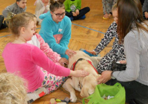 Dzieci głaszczą psa z Fundacji AMI