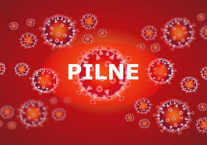 Pilne